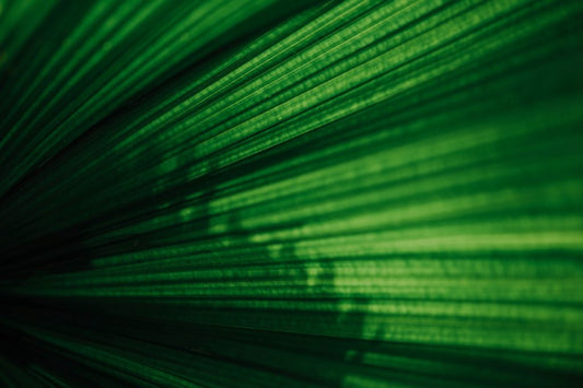 Positive Effects of Green Light on Health