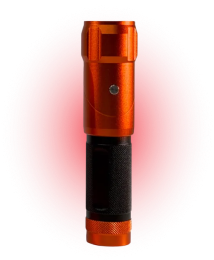 Torch
