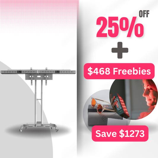 Horizontal Stand w/ 2 XL Shorties