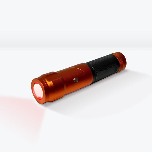 The Torch