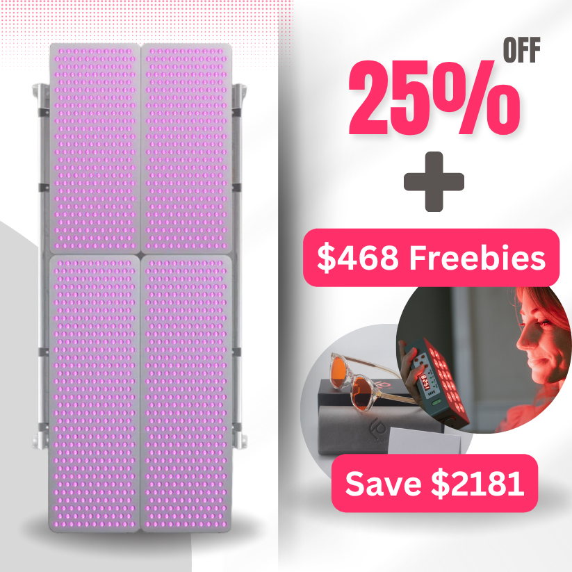 Wall Stand w/ 2 Combo XL and 2 Combo Shorties