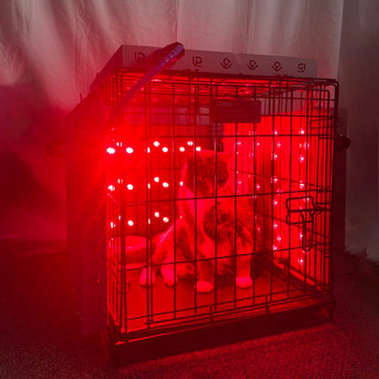 Pet Panel (Comes with: Infrared Pad & Torch. Crate not included)